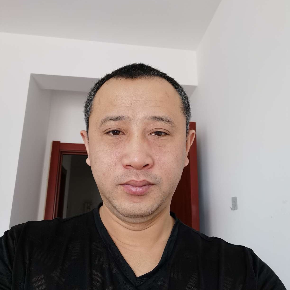 淡定的草丛的照片