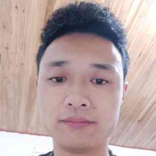 铅笔淡然的照片