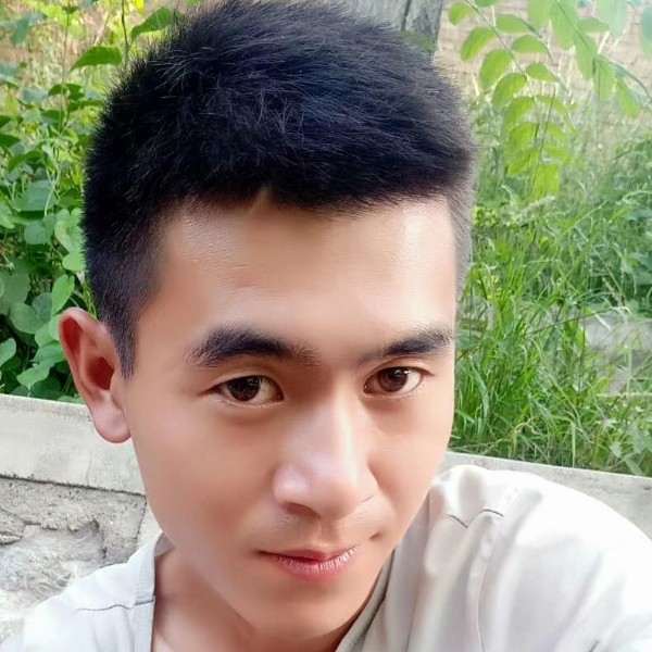 猫咪给怕孤单的照片