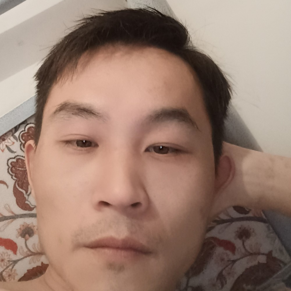 英勇回首电脑的照片