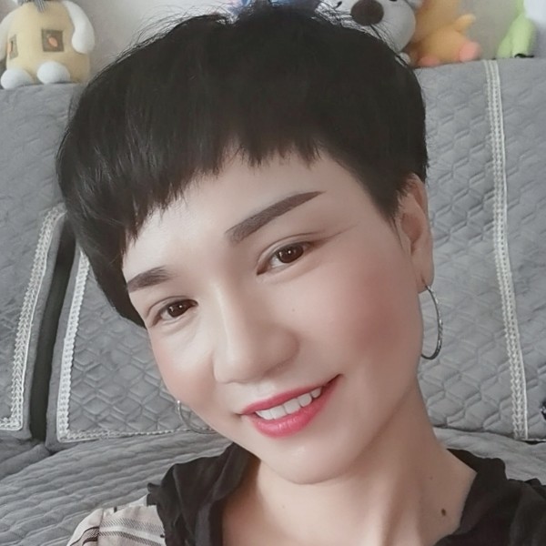 精美的树袋熊的照片