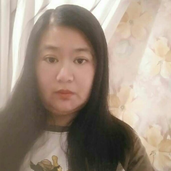 阳光仙人掌的照片