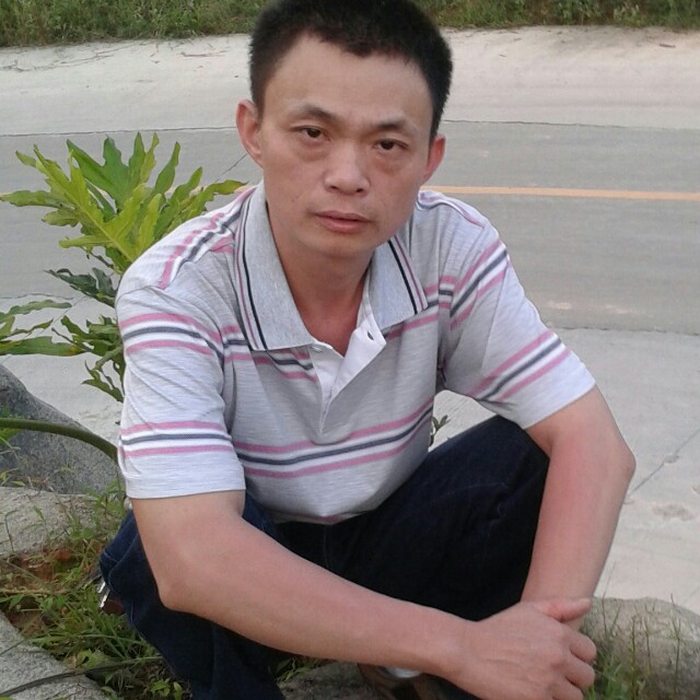 外向羽毛的照片