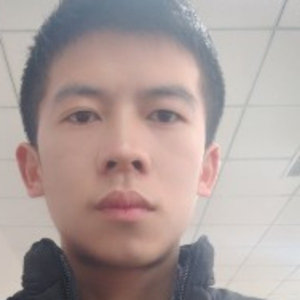 长颈鹿友好的照片