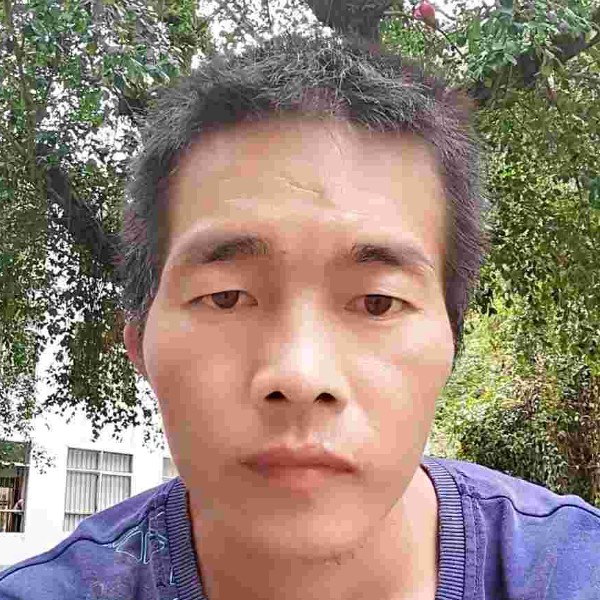忘了痛再来一刀的照片