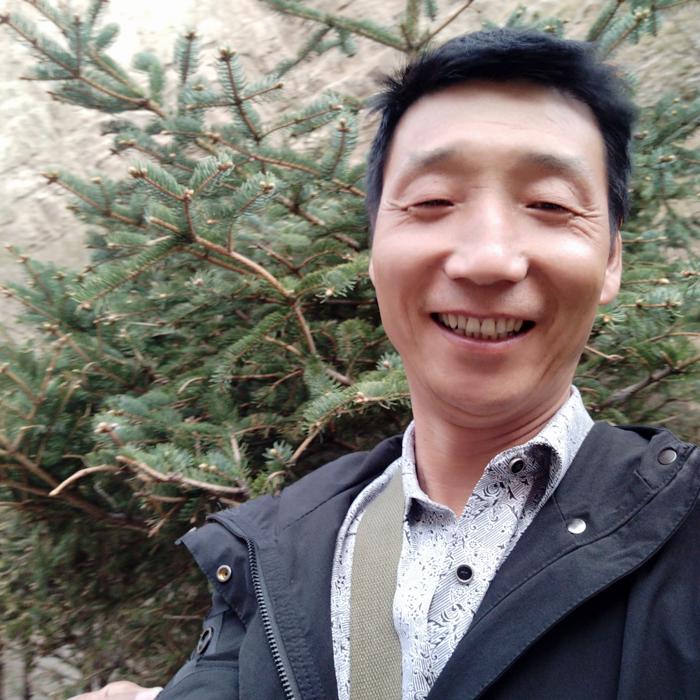 小懒猪踢健康的照片