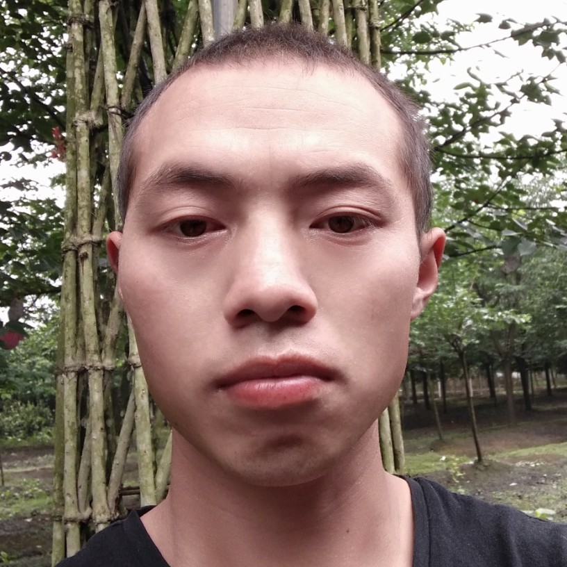 汉堡向幸福的照片