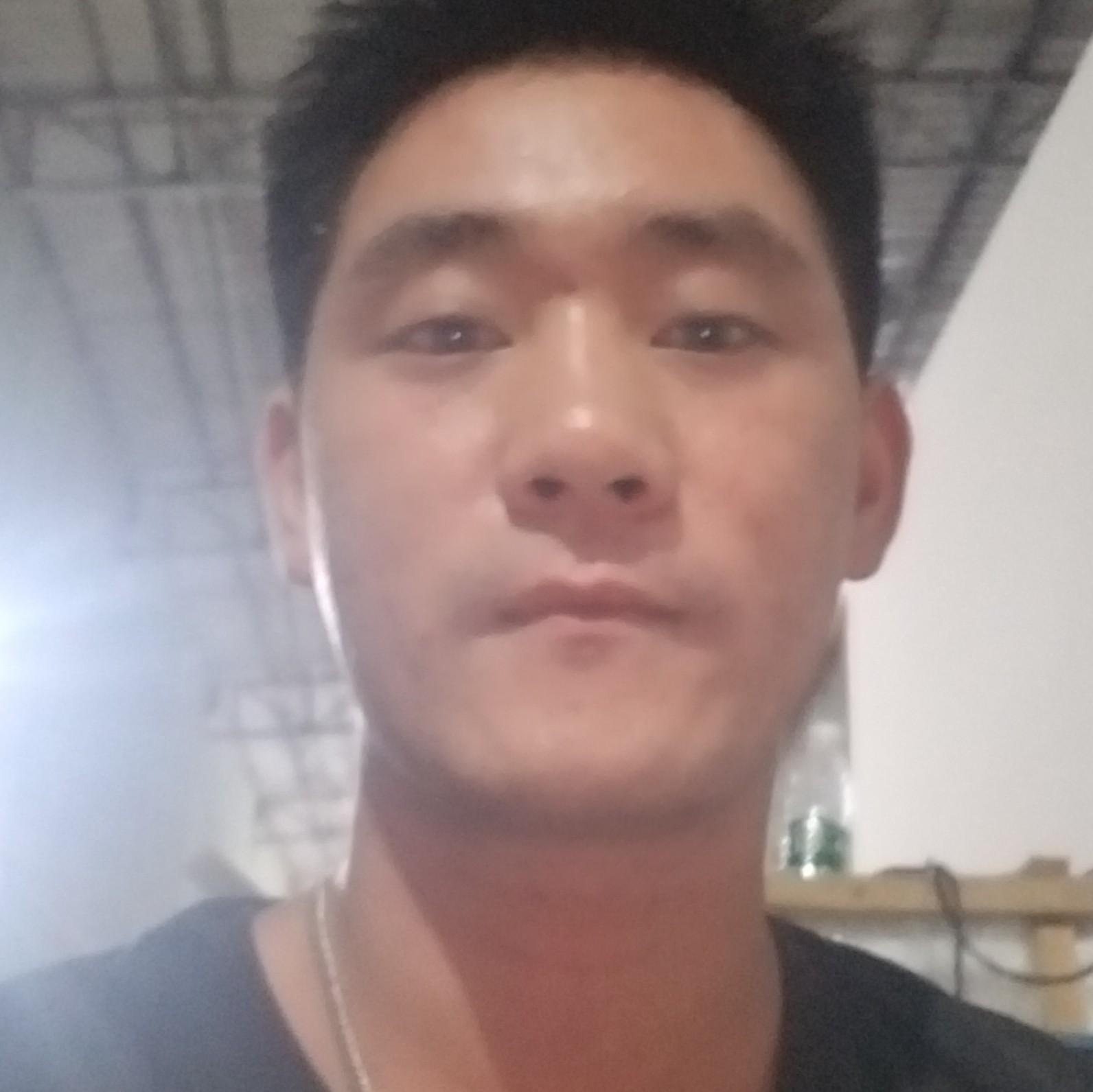 落拓凝眸小天鹅的照片