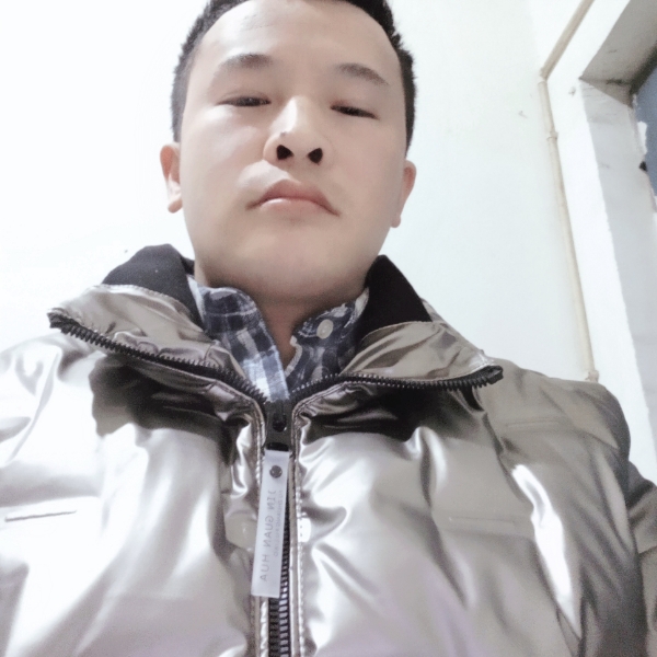 诚信天下美的照片