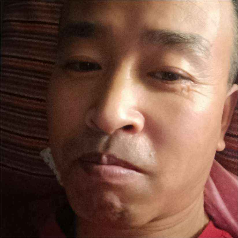 自然和钢笔的照片