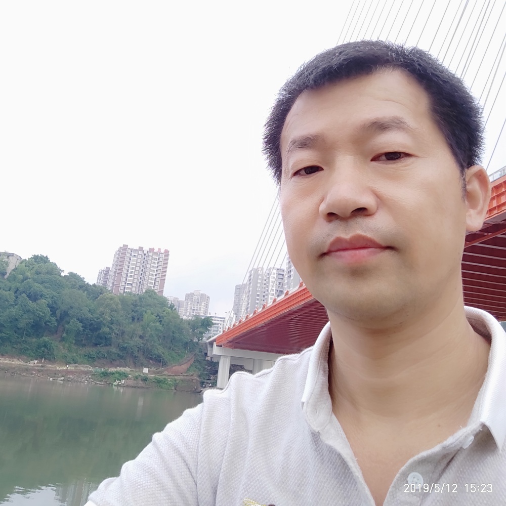 暖阳春艳的照片
