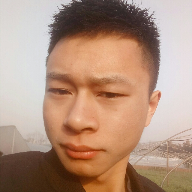烂漫大米的照片