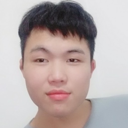 小海豚干净的照片