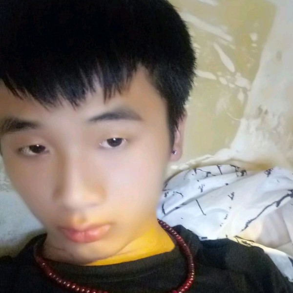 冬瓜粗犷的照片
