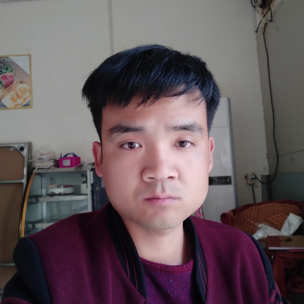 冬天高贵的照片
