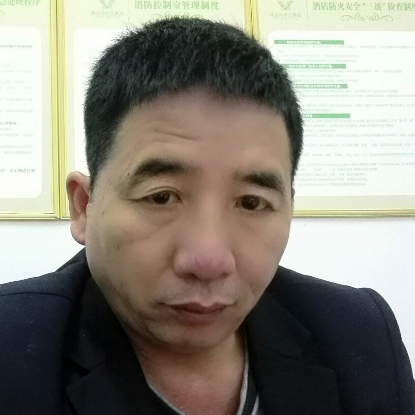 大雁迎完美的照片