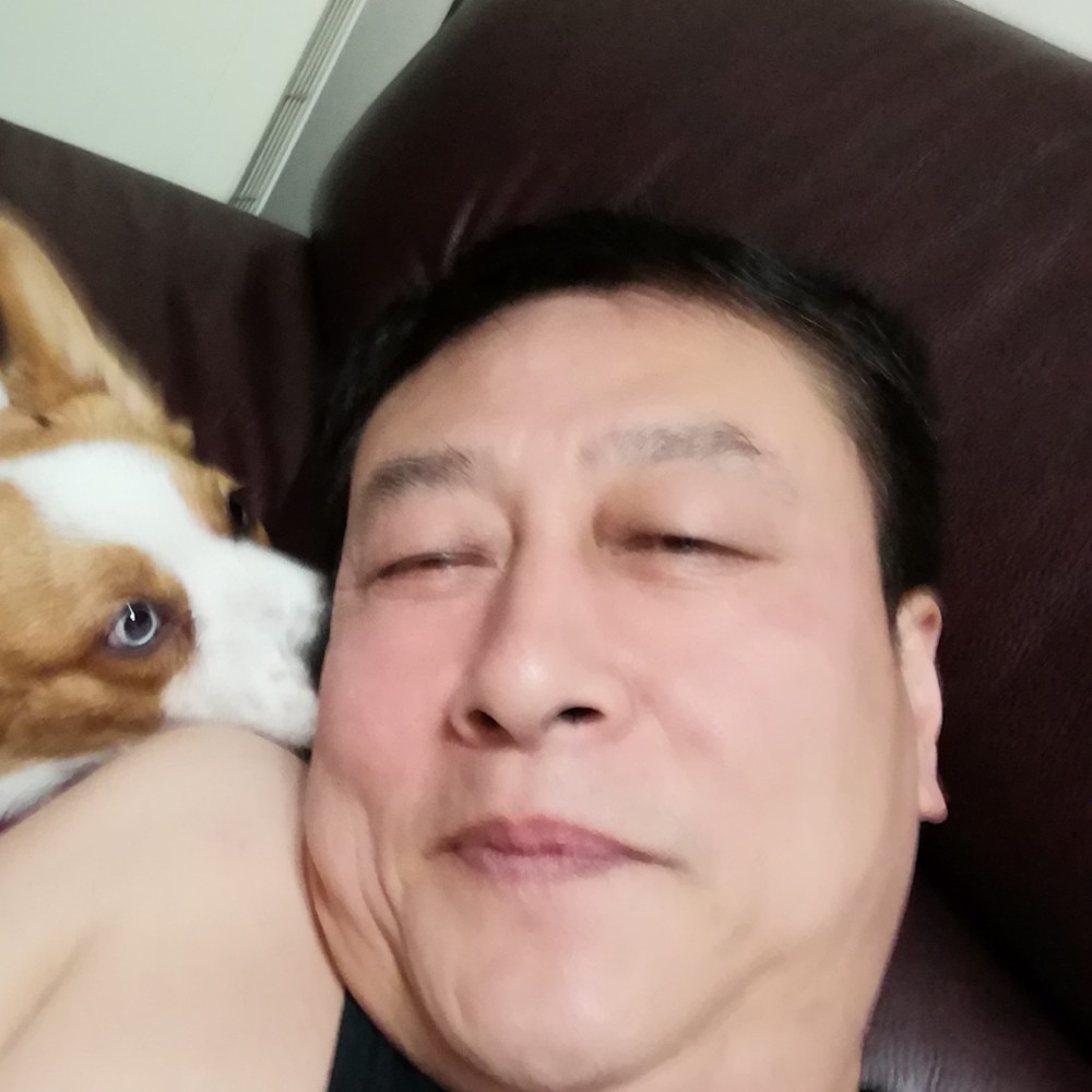 蓝鸟蓝鸟的照片