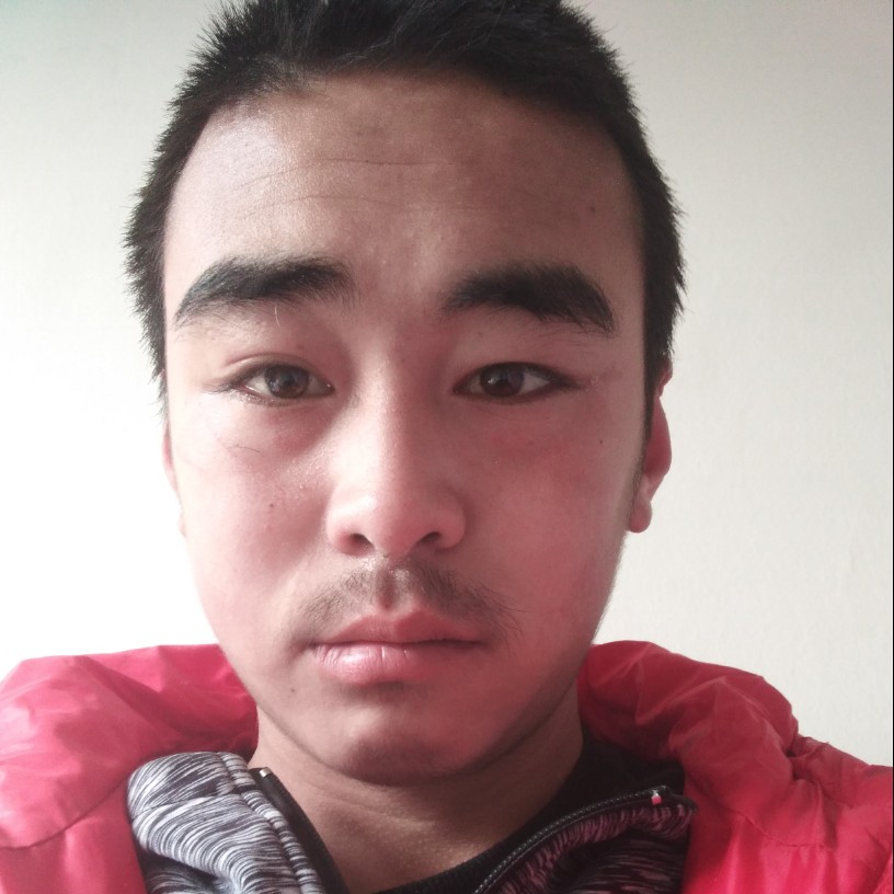 花痴苦恋老鼠的照片