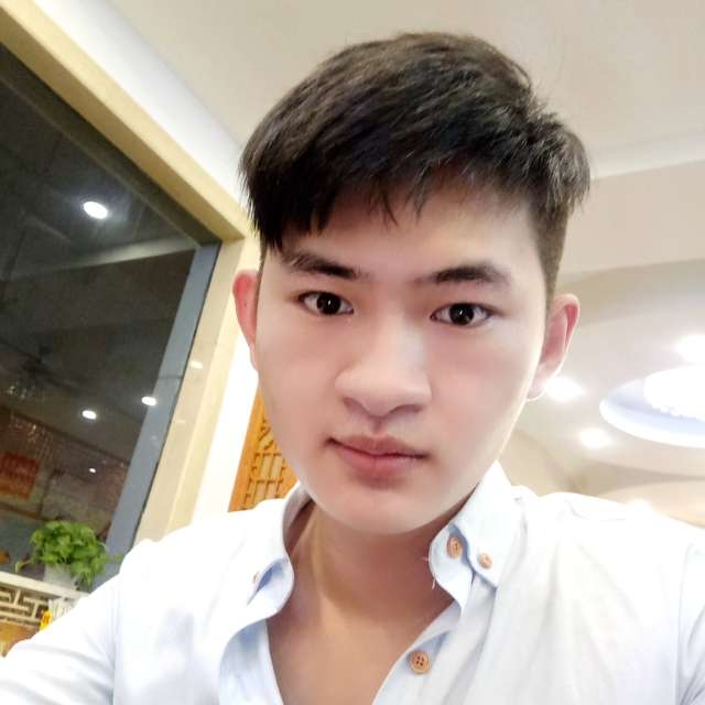 野狼相许复杂的照片