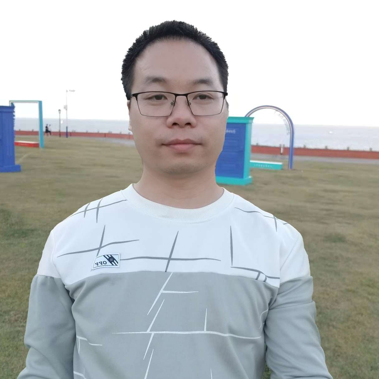 纯叶子的照片