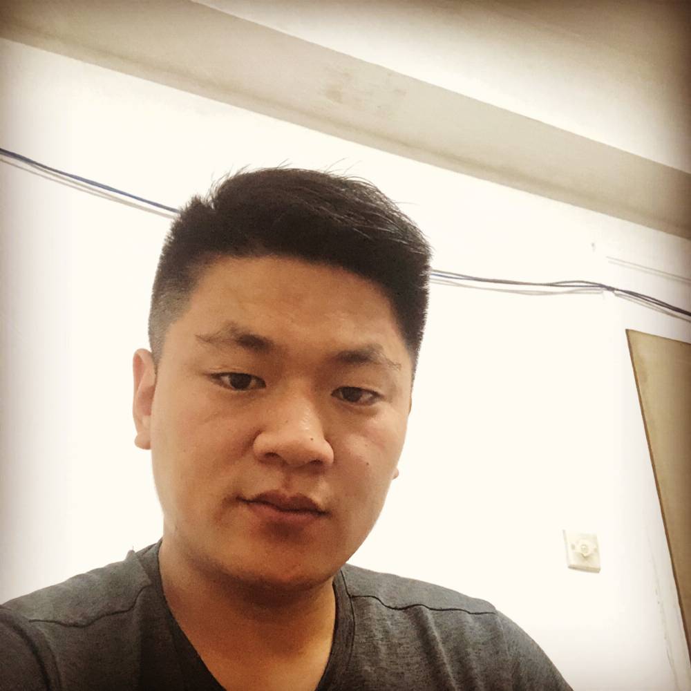 在风中，待归根的照片