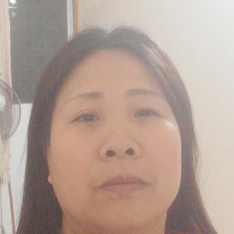 玉米典雅的照片
