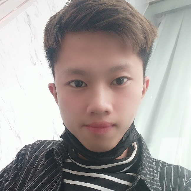 野馬的照片