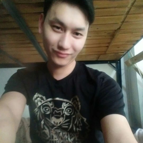 温柔打大树的照片