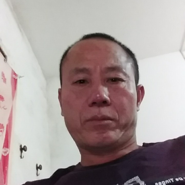 秀丽歌曲的照片
