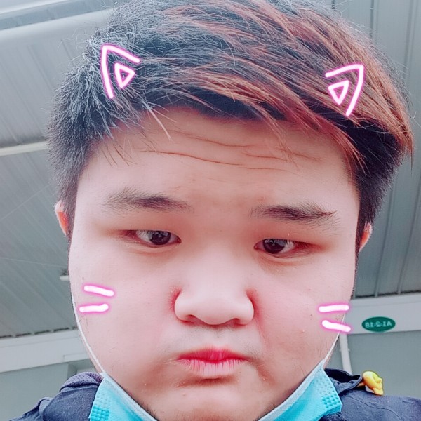 晓枫纸的照片
