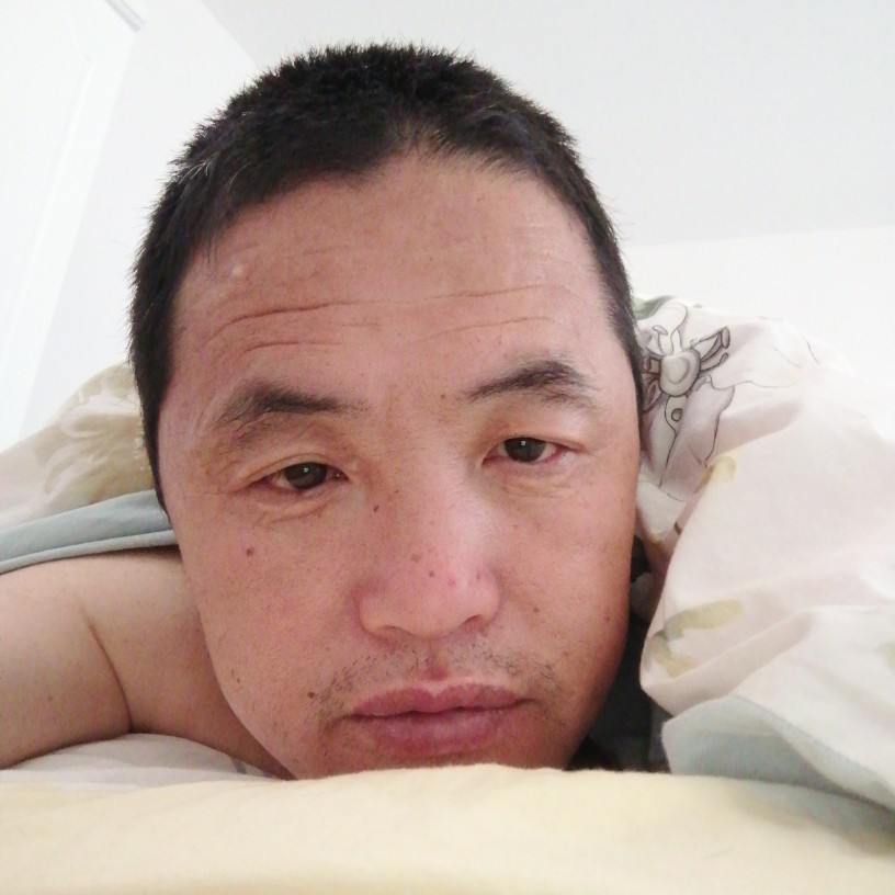 冷傲改变黄蜂的照片