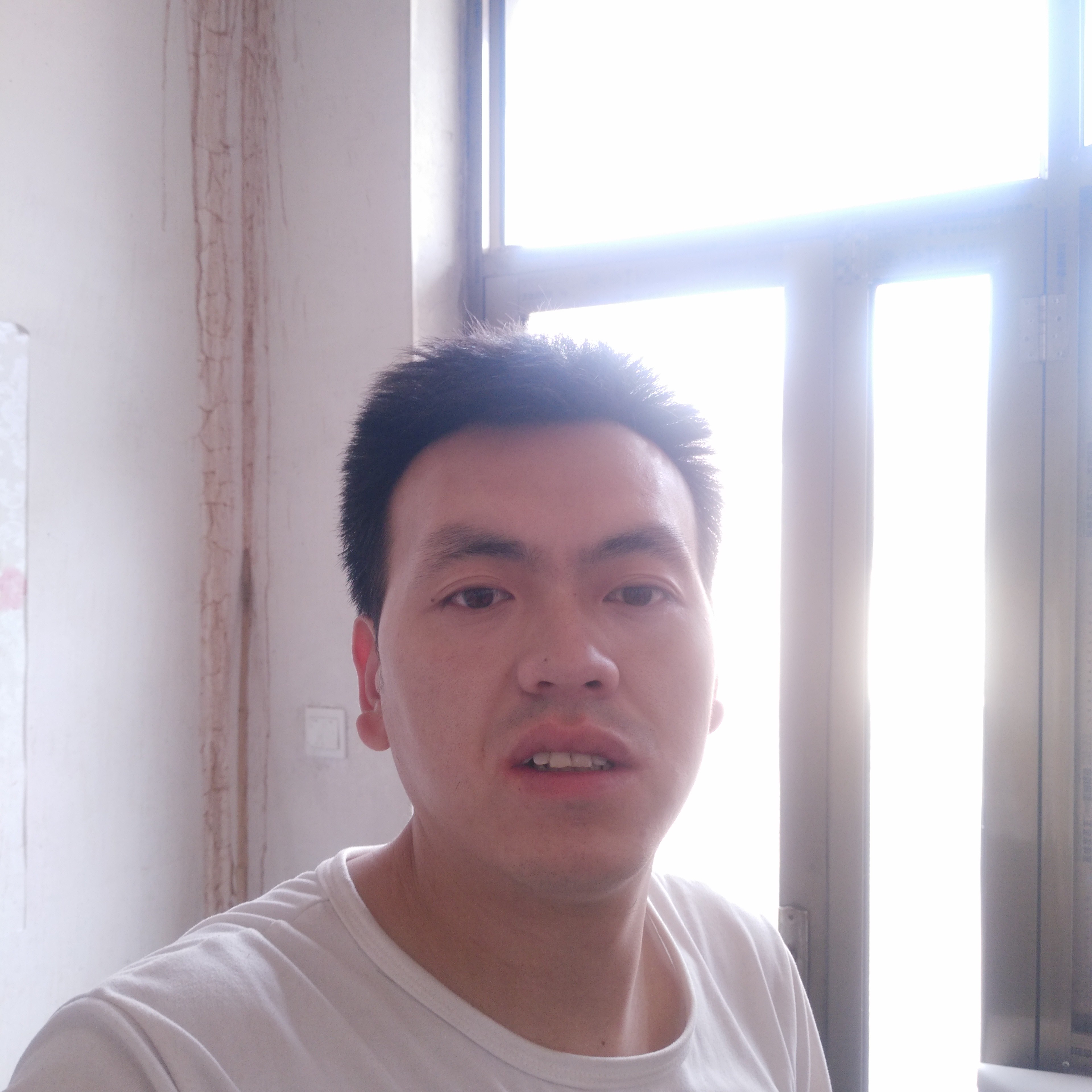 唯一的吃醋小兔子的照片