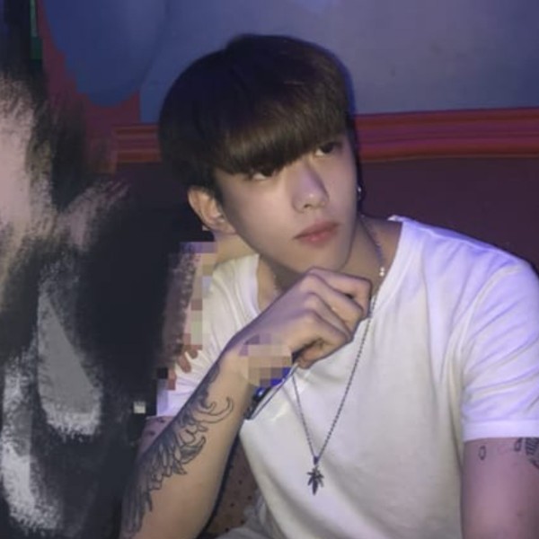 灰灰鸭的照片
