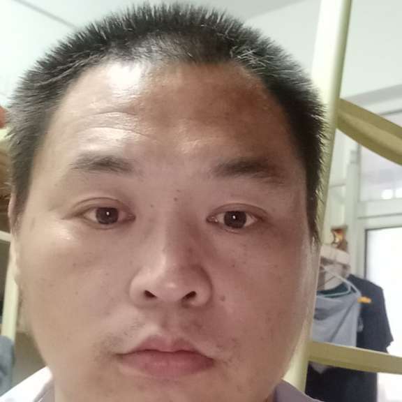 小蚂蚁挽手灵巧的照片