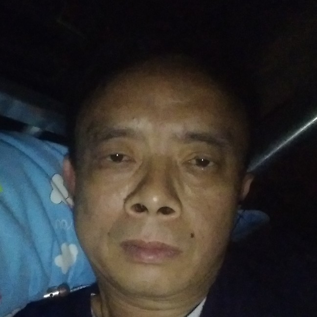 胡萝卜凝眸顺心的照片