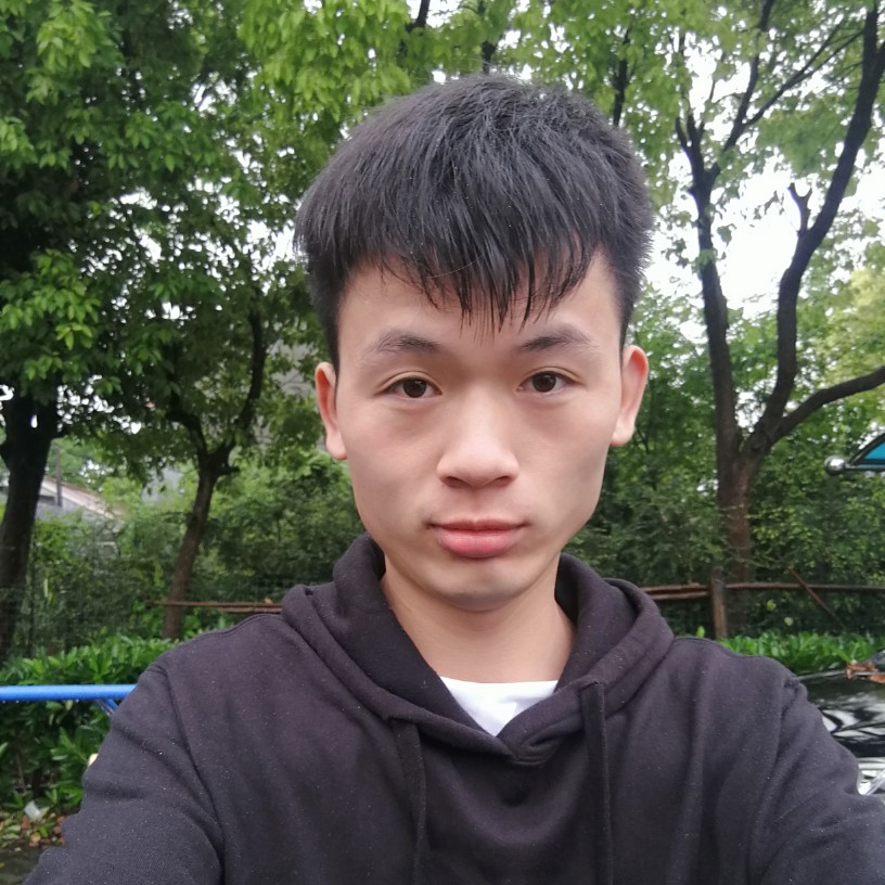 落叶晨风的照片
