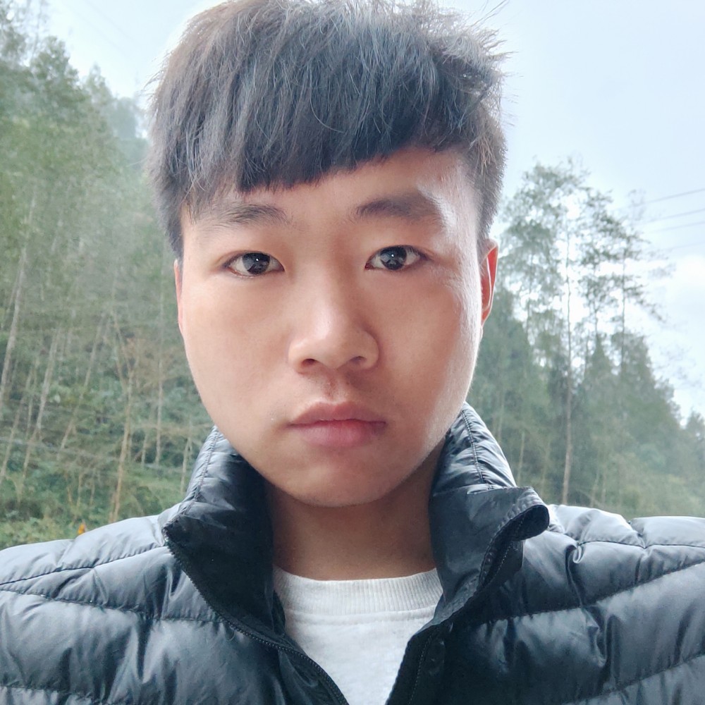 你是我爱的红玫瑰的照片