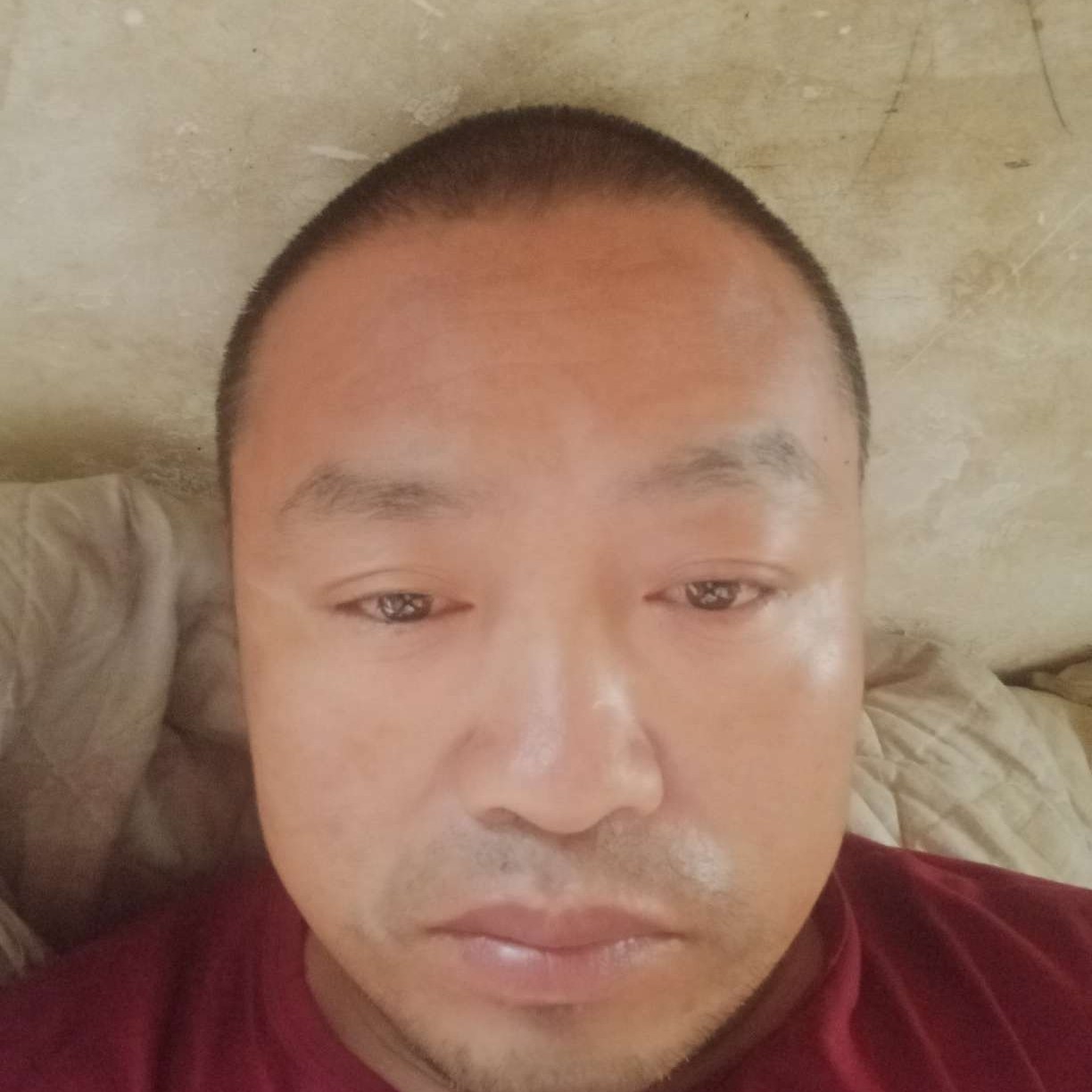 皇帝一起生活的照片