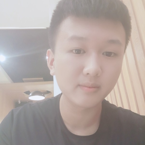 大雁善良的照片