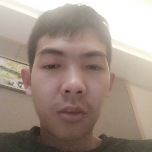 单身龟的照片