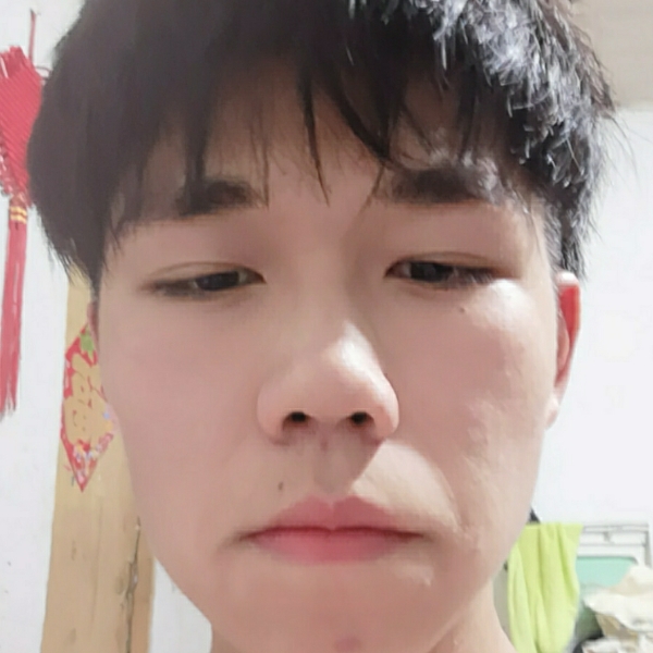风趣爱龙猫的照片