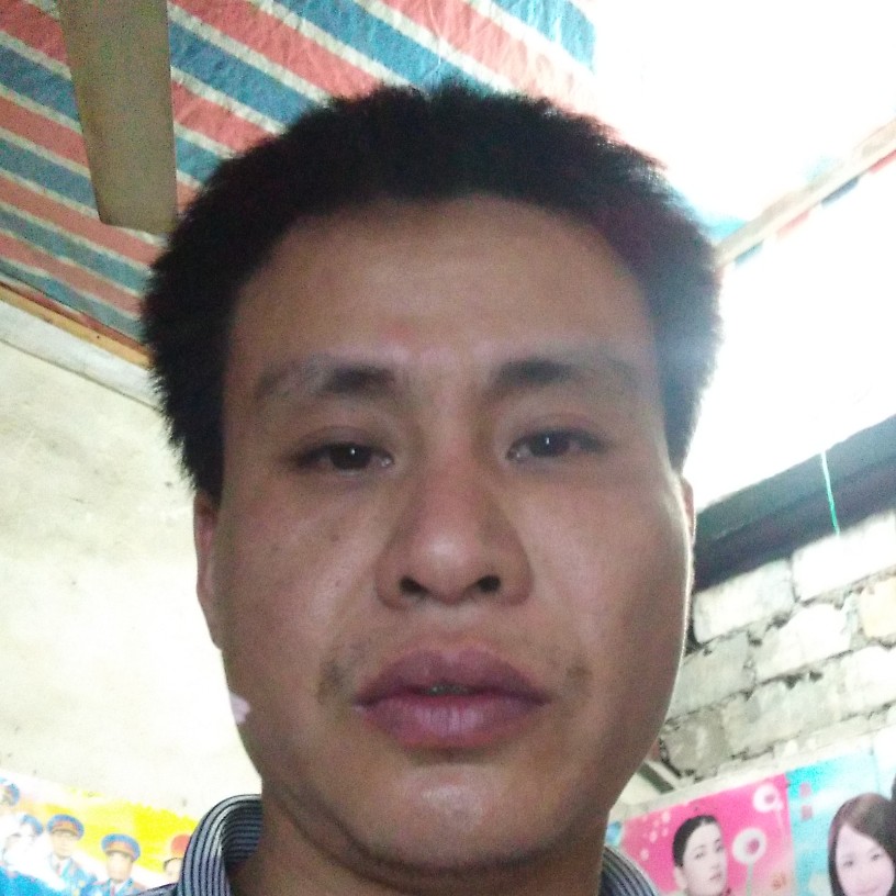 飞鸟和等待的照片
