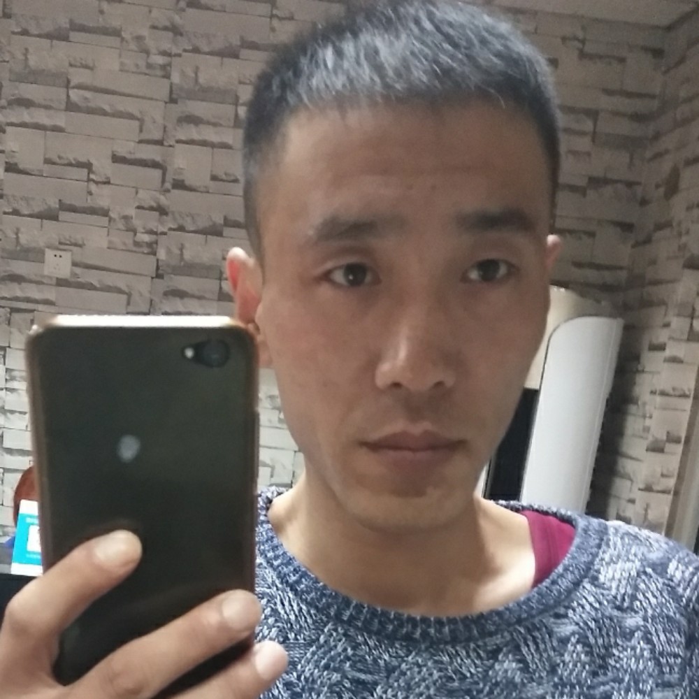 蝶戏花丛的照片
