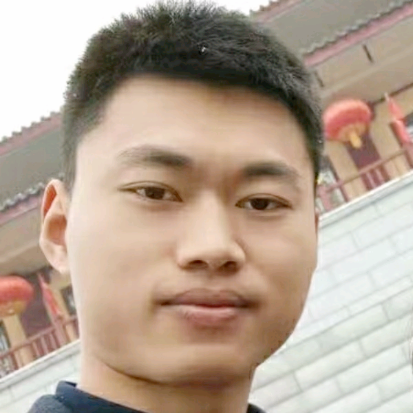 迅速小刺猬的照片