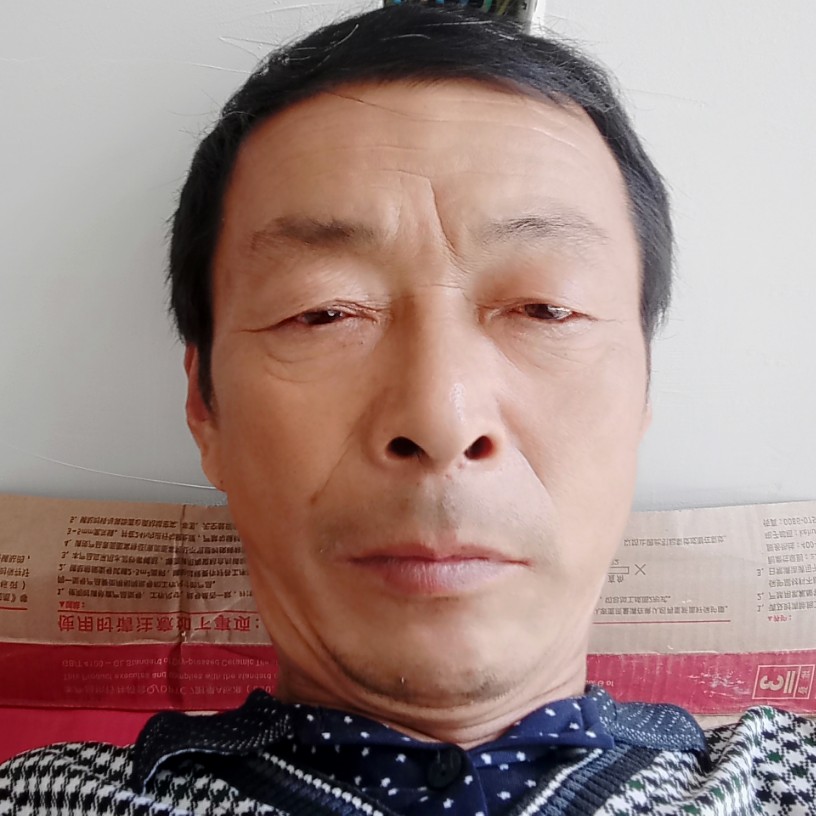 小巧用翅膀的照片