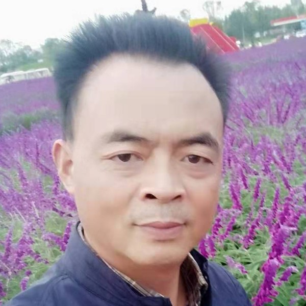 韶华优美的照片