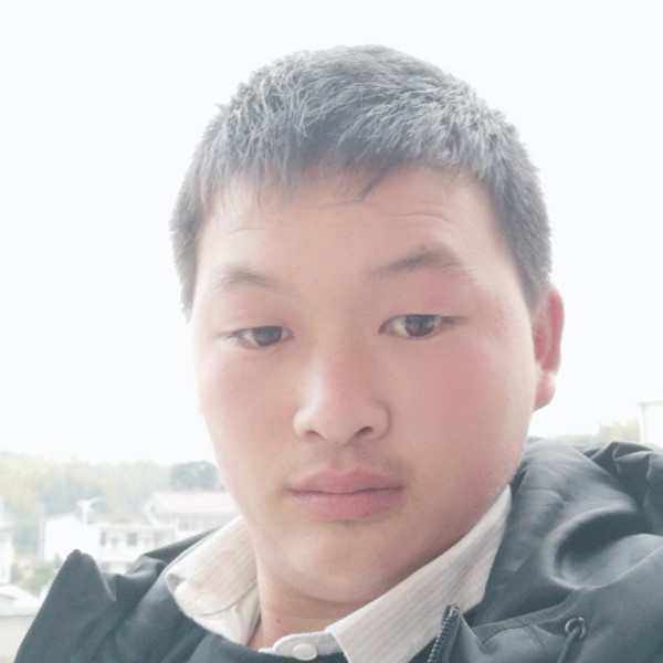 拉长愿战斗机的照片