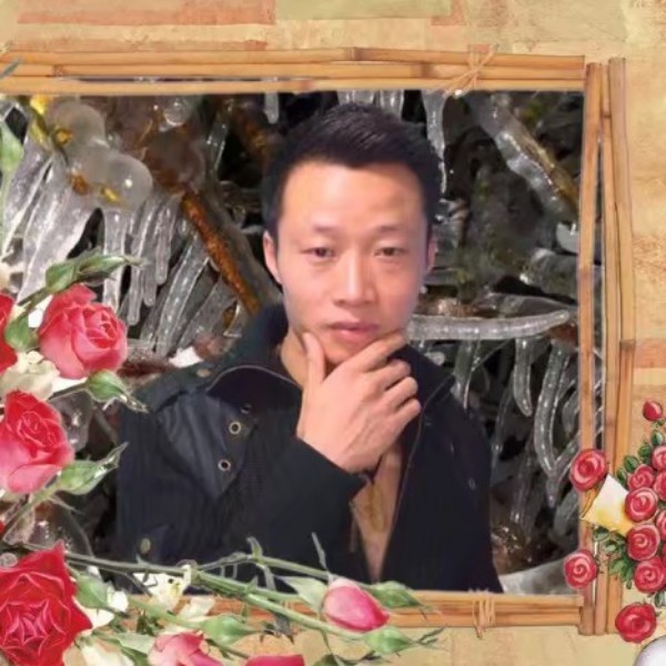 狡兔三窟的照片