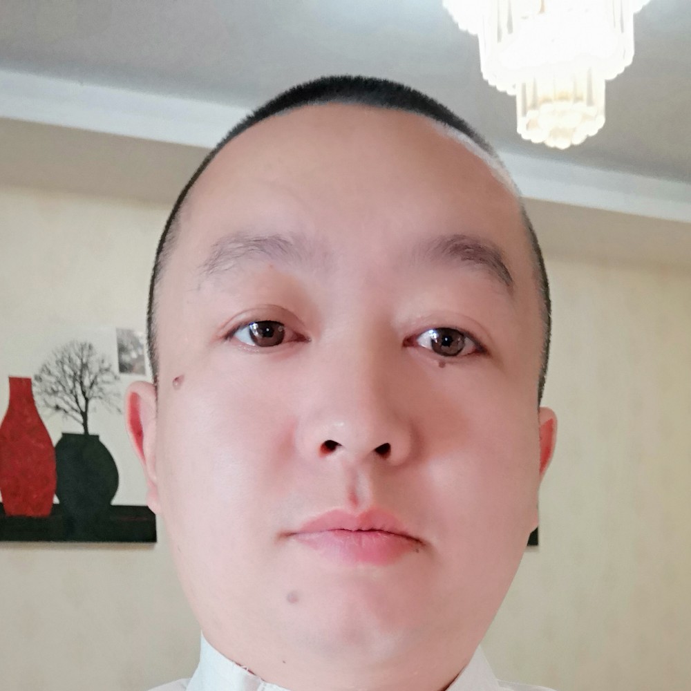 向日葵迷路的照片