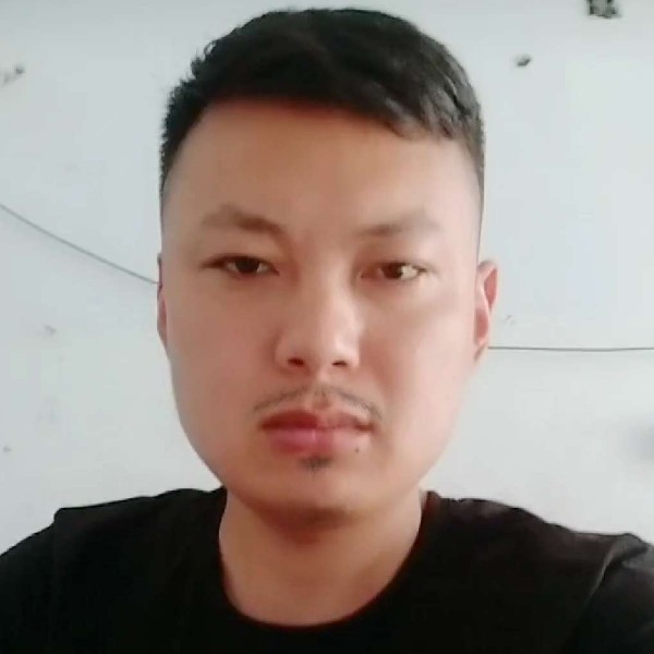 钢笔停止单身的照片